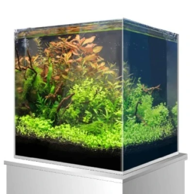 купити AMTRA NANOSCAPING 35, 30л, 35x28x30см, 5мм, ультрапрозорий в Одеси