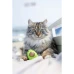 купити Petstages Lil Avocato Легка іграшка з котячою м'ятою для кішок різного віку в Одеси