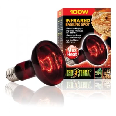 купити Exo Terra Infrared Basking Spot Лампа для тераріумних тварин, інфрачервона, 100 W, E27 (для обігріву) в Одеси