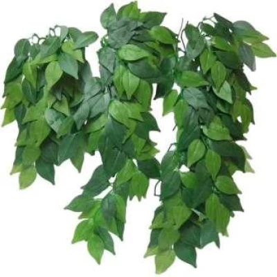 купити Exo Terra Silk Plant Ficus - Декоративна рослина для тераріуму з шовку в Одеси