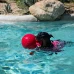 купити Jolly Pets Tug-n-Toss іграшка для собак в Одеси