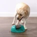 купити Nina Ottosson Dog Spin N'Eat Миска-головоломка другого рівня для розумового тренування собак в Одеси