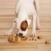 Nina Ottosson Dog Smart Composite Інтерактивна гра-головоломка «Дог Смарт» для собак