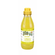 Iv San Bernard FRUIT OF THE GROOMER Shampoo GINGER & ELDERBERRY - Шампунь дезинфікуючий ІМБИР І БУЗИНА