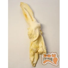 Ласощі Вуха кролика для собак, 1 шт