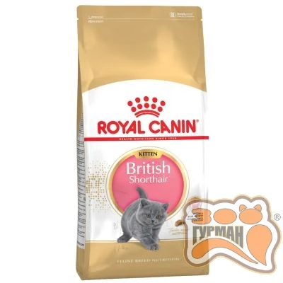 купити Royal Canin British Shorthair Kitten корм для кошенят породи британська короткошерста в Одеси