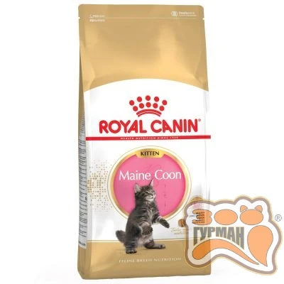 купити Royal Canin Maine Coon Kitten для кошенят породи мейн-кун в Одеси
