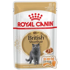 Royal Canin British Shorthair Adult вологий корм для дорослих котів породи британська короткошерста
